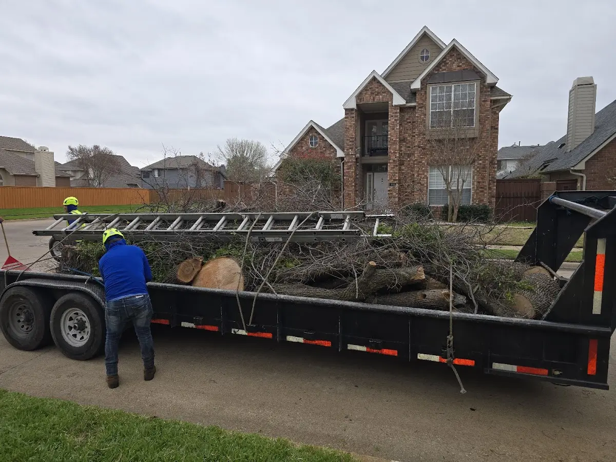 Expert Tree Fertilization with proper safety equipment in Darlington
